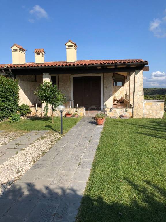 immagine annuncio 3 di 8