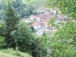 Terreno agricolo all'asta a gorno via prealpina inferiore
