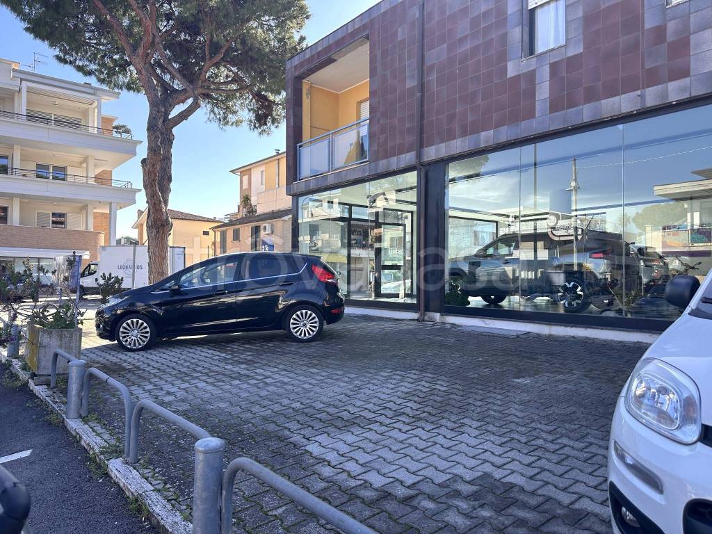 immagine annuncio 9 di 15