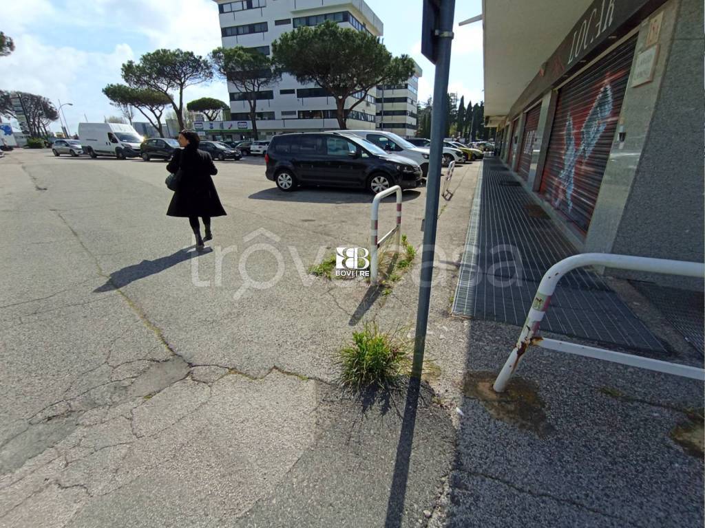 immagine annuncio 5 di 6