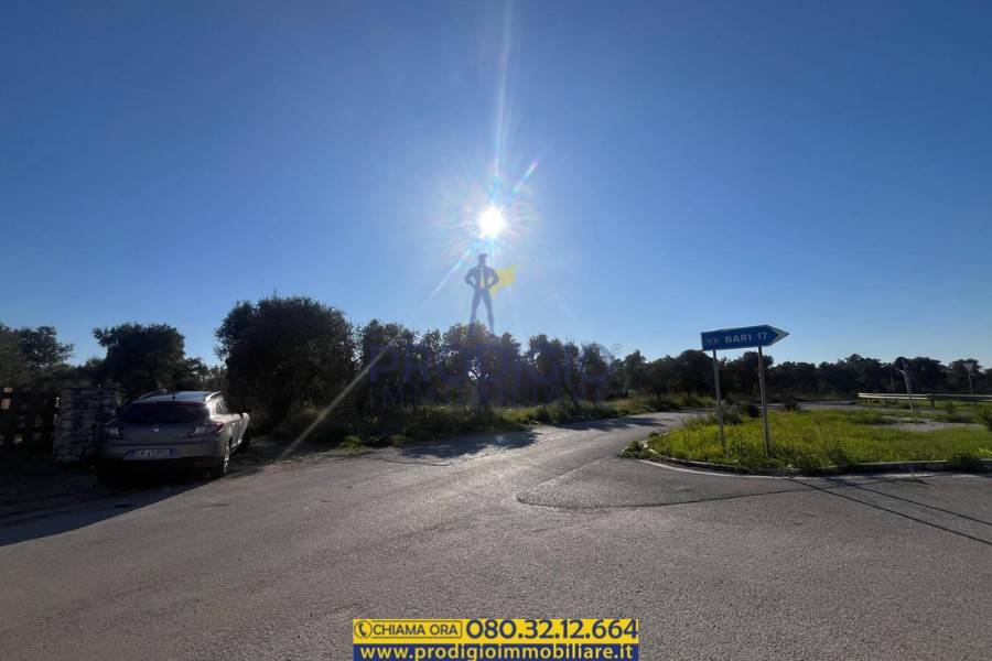 immagine annuncio 11 di 12