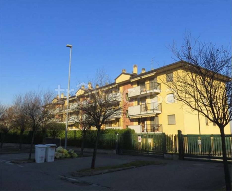immagine annuncio 1 di 10
