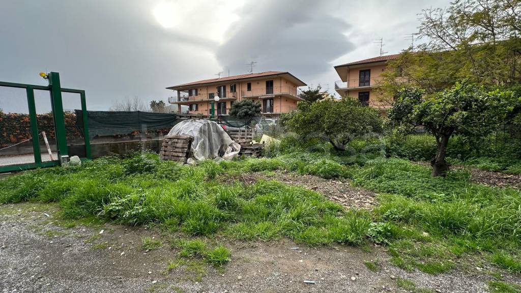 immagine annuncio 7 di 13