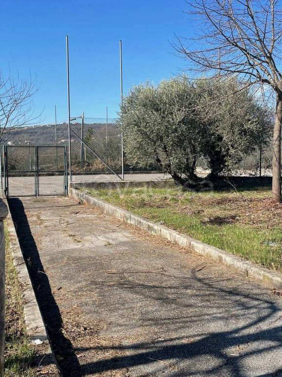 immagine annuncio 5 di 12