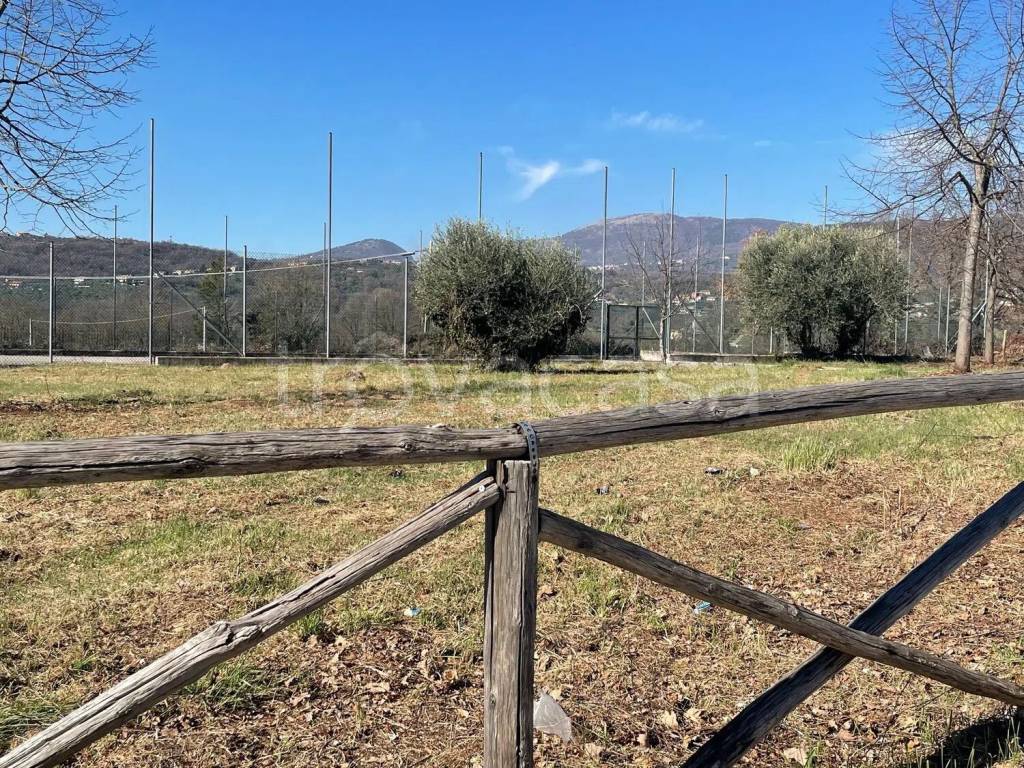 immagine annuncio 6 di 12