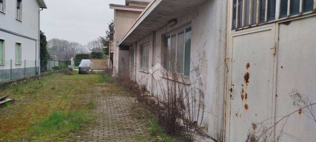 immagine annuncio 6 di 12