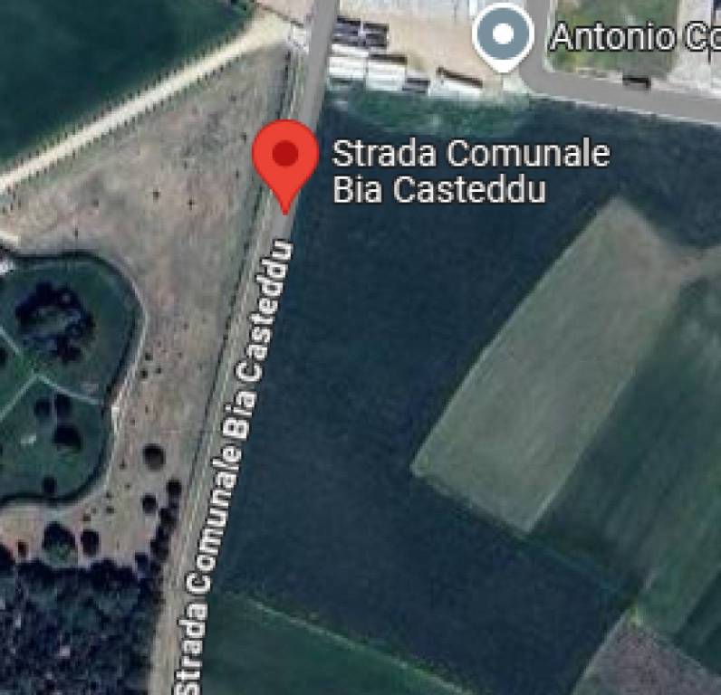 immagine annuncio 9 di 11