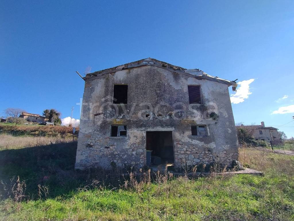 immagine annuncio 8 di 13