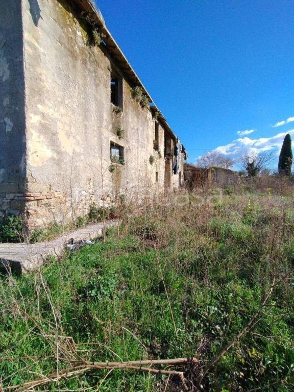 immagine annuncio 4 di 13