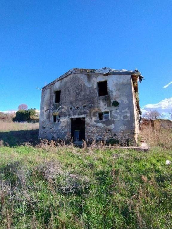immagine annuncio 3 di 13