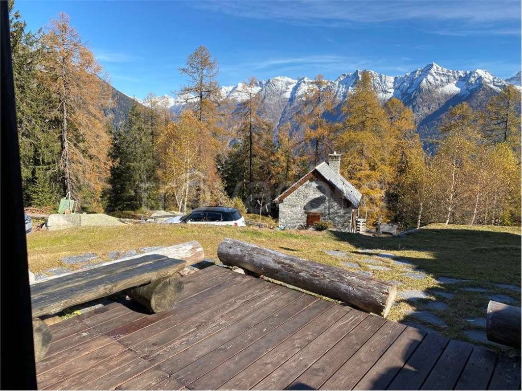 immagine annuncio 3 di 15