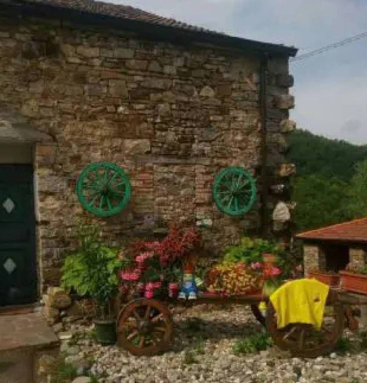 immagine annuncio 11 di 12