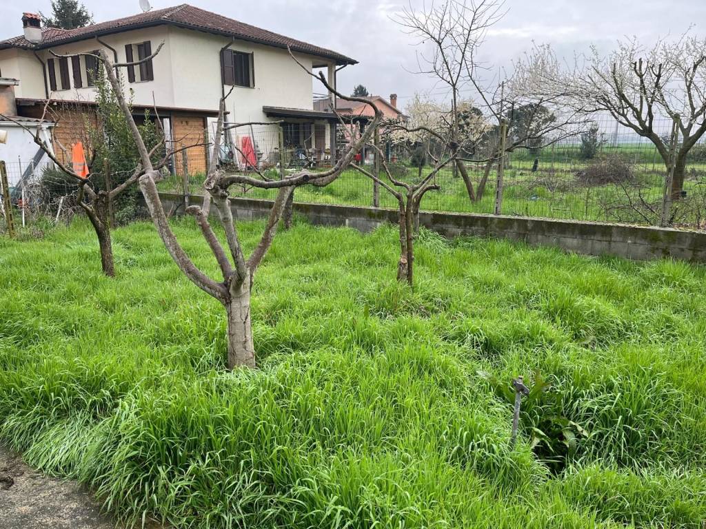 immagine annuncio 10 di 13
