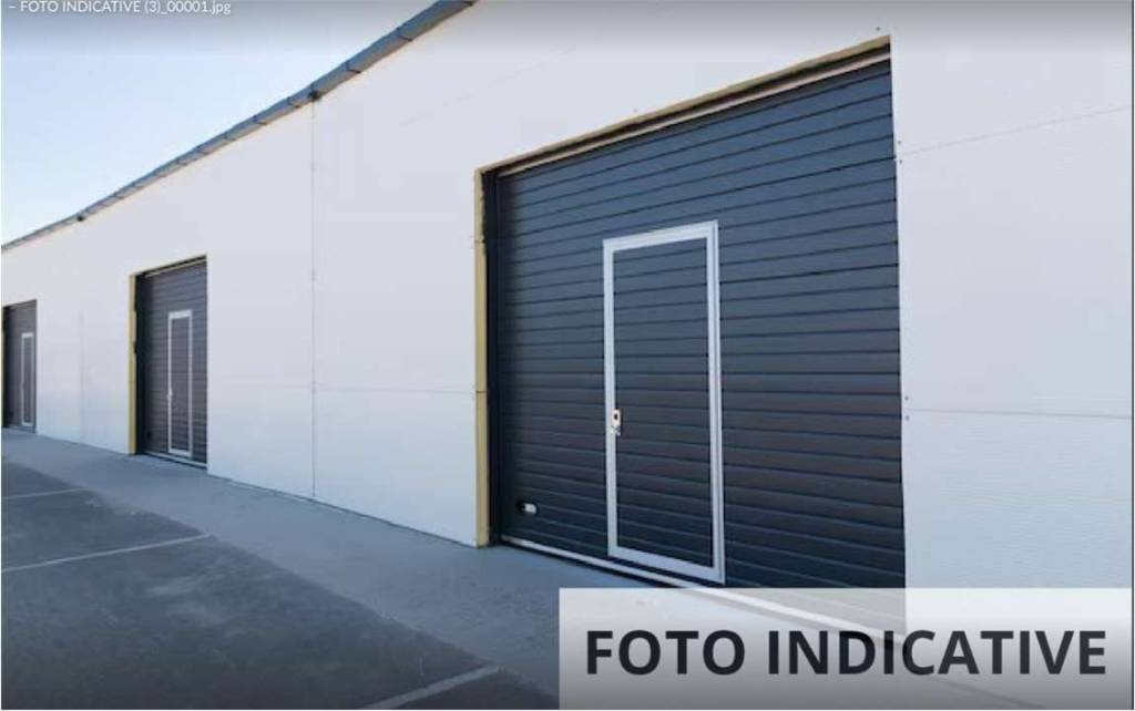 immagine annuncio 5 di 11
