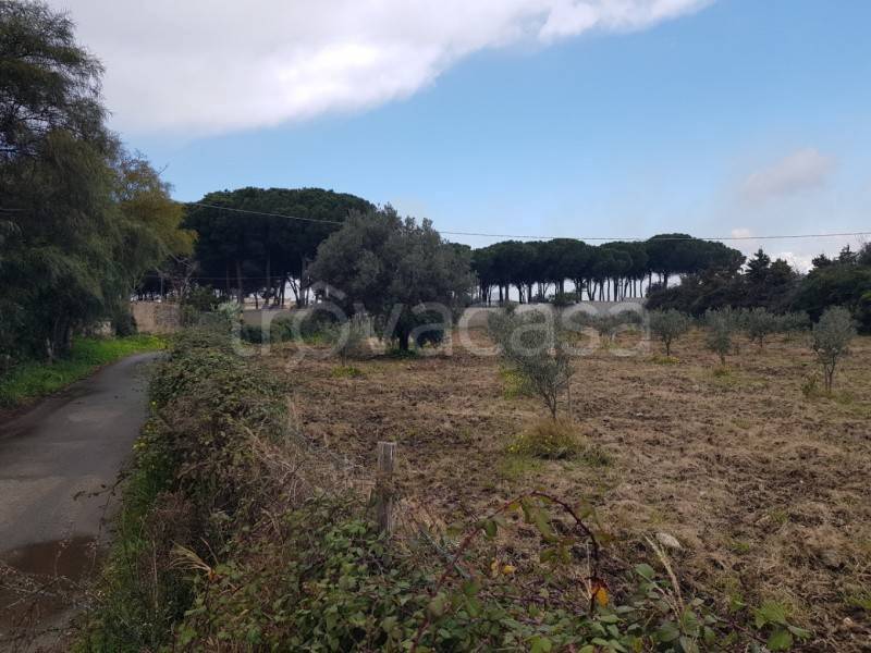 immagine annuncio 5 di 9