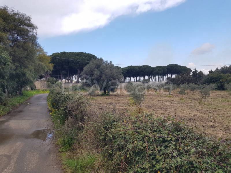 immagine annuncio 6 di 9