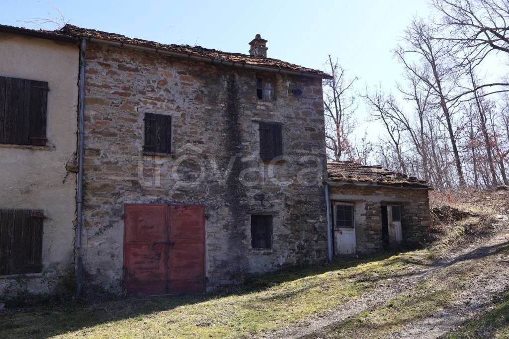 immagine annuncio 7 di 14