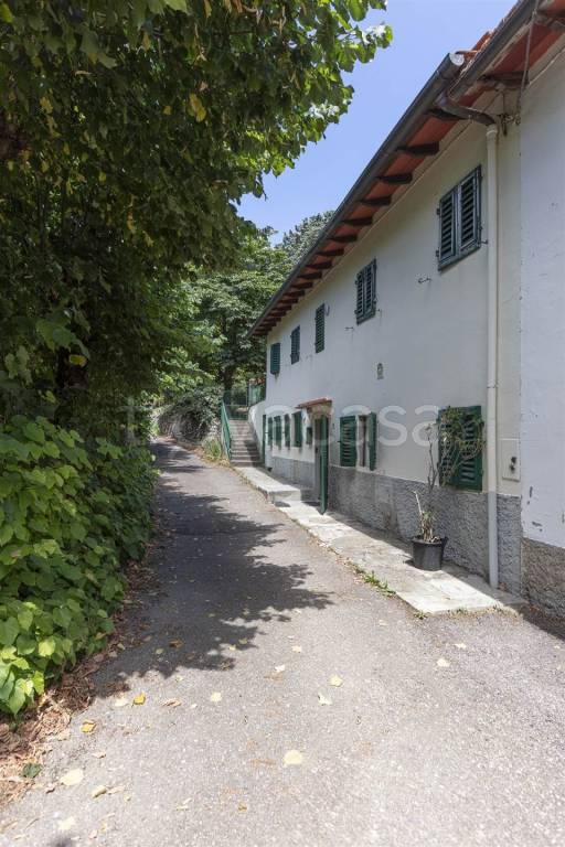 immagine annuncio 4 di 11