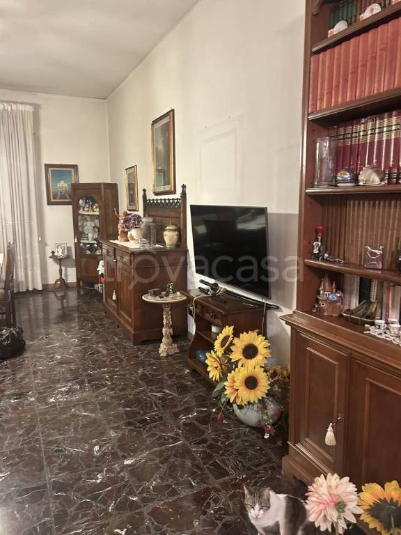 immagine annuncio 2 di 6