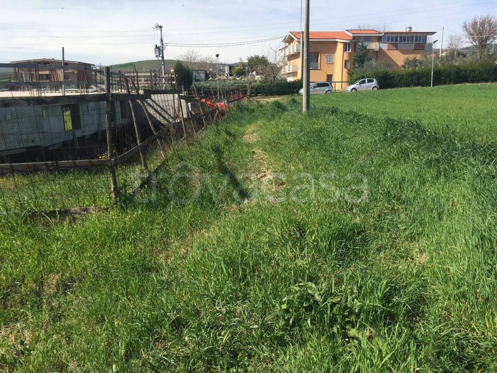 immagine annuncio 9 di 10