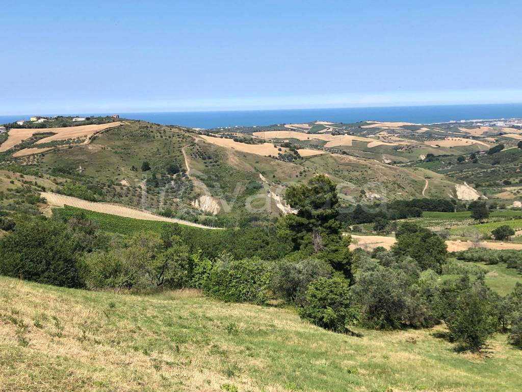 immagine annuncio 13 di 14