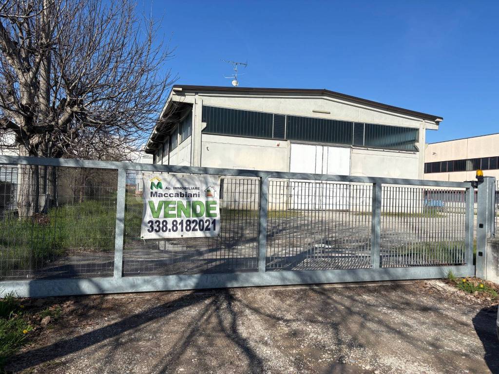 immagine annuncio 10 di 11