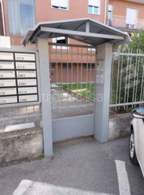 immagine annuncio 1 di 14