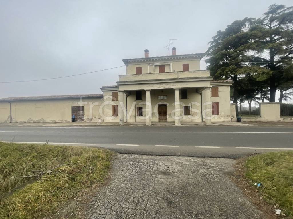 immagine annuncio 2 di 11