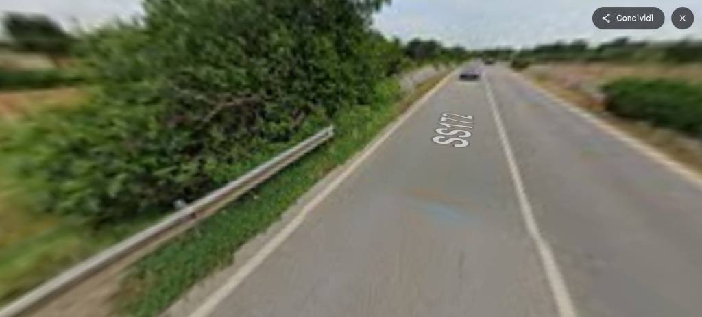 immagine annuncio 2 di 13