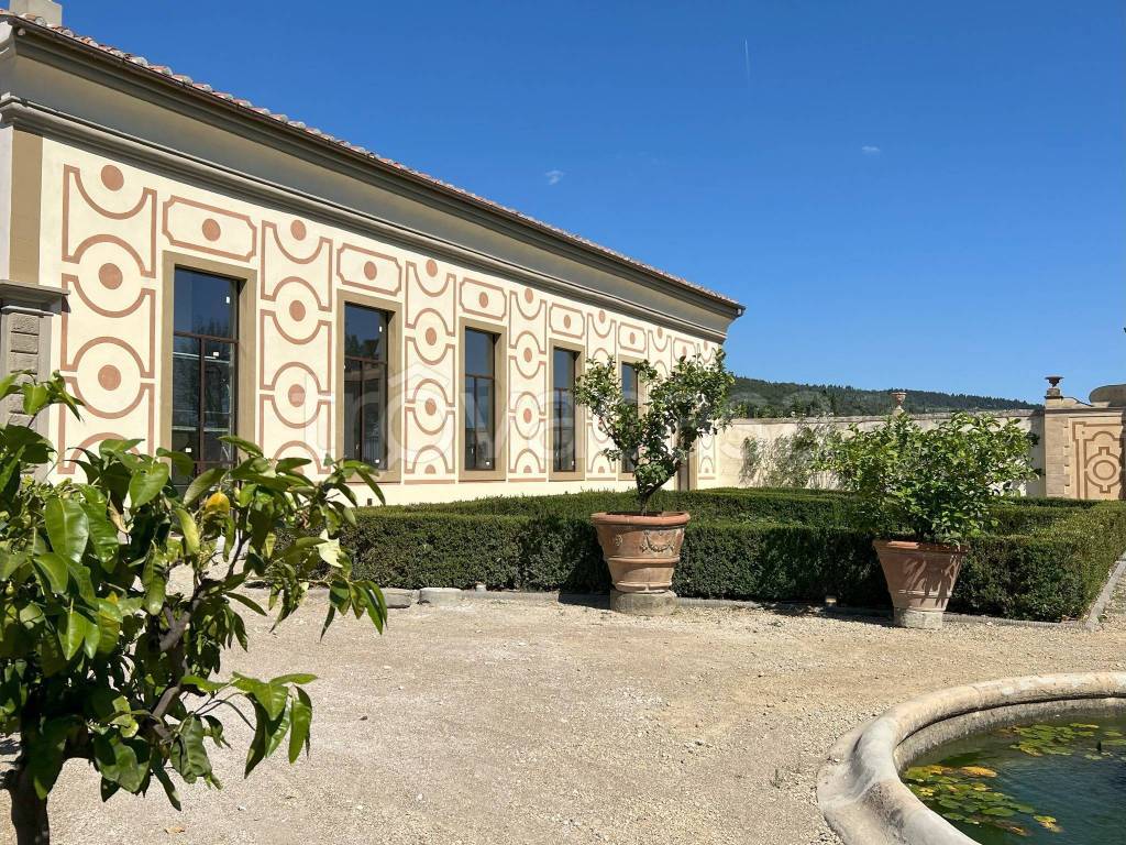 immagine annuncio 2 di 6