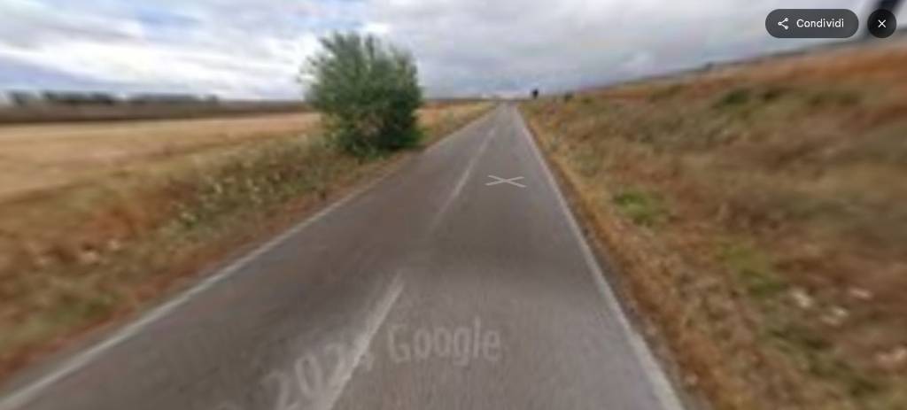 immagine annuncio 11 di 13