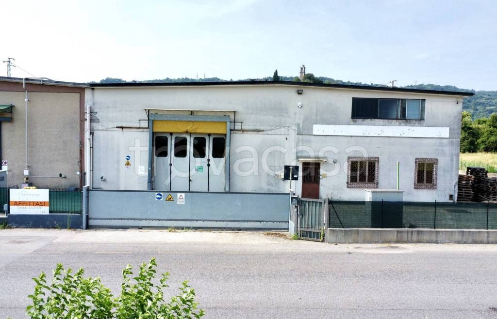 immagine annuncio 1 di 8