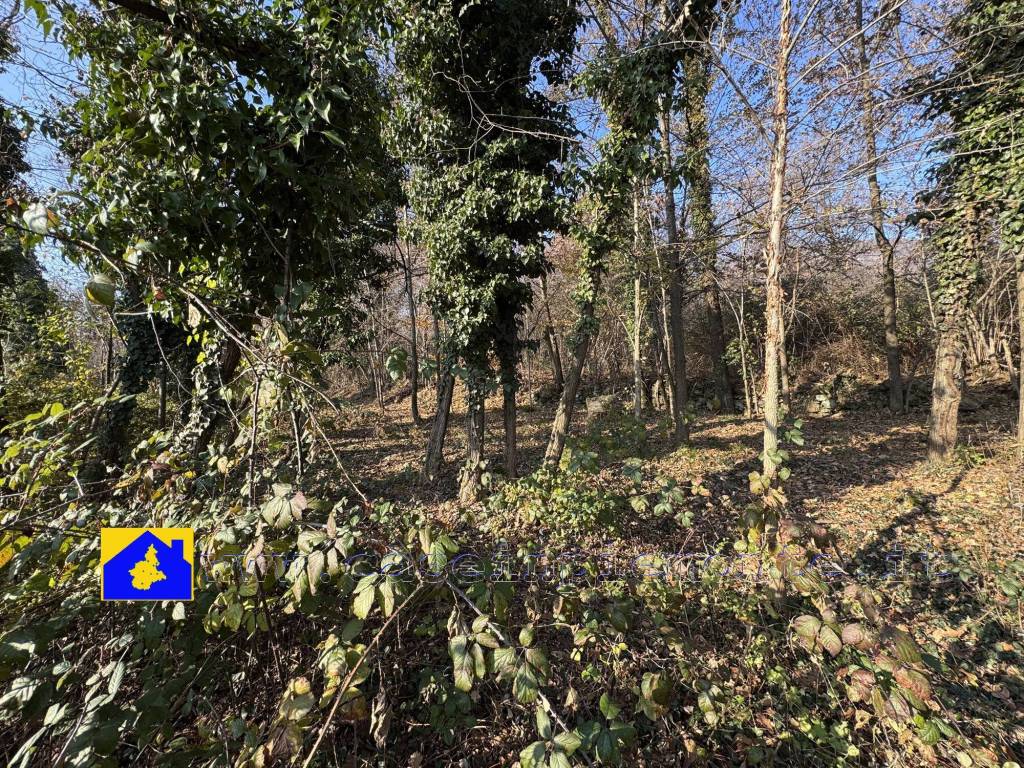 immagine annuncio 3 di 9