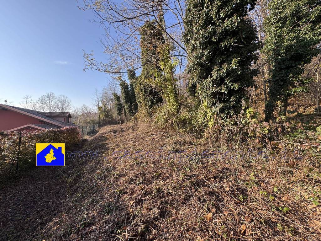 immagine annuncio 5 di 9