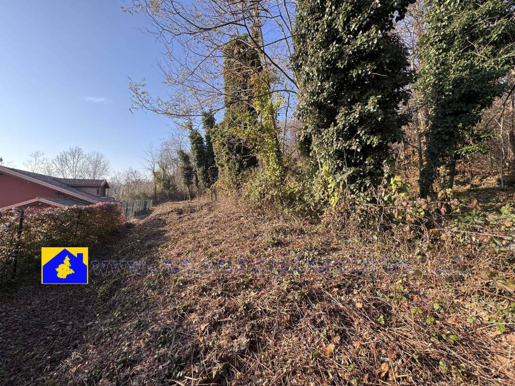 immagine annuncio 6 di 9