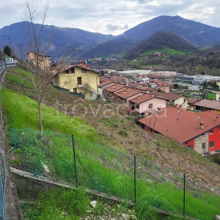 immagine annuncio 4 di 7