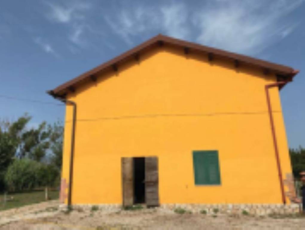immagine annuncio 2 di 11