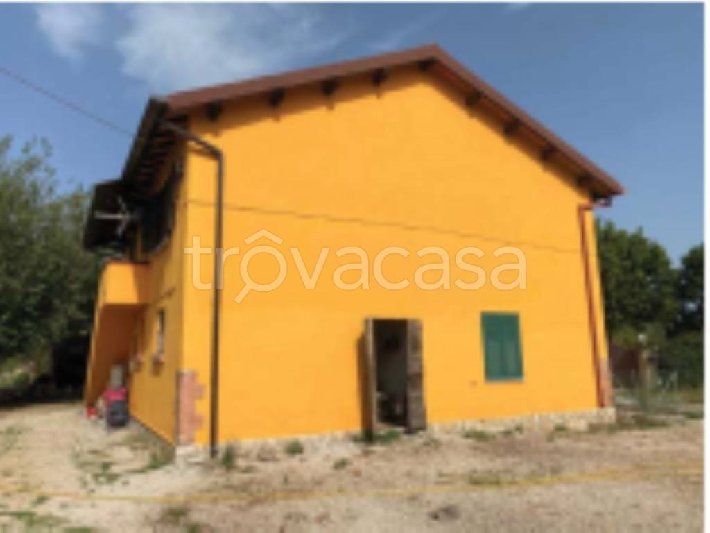 immagine annuncio 5 di 11