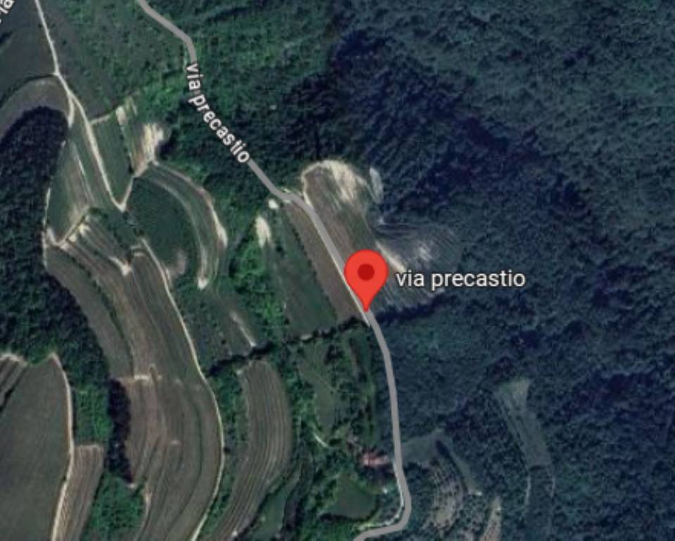 immagine annuncio 3 di 11