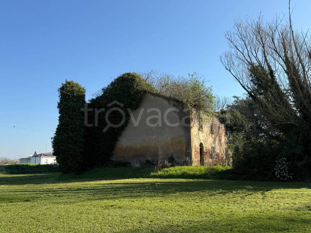 immagine annuncio 2 di 7