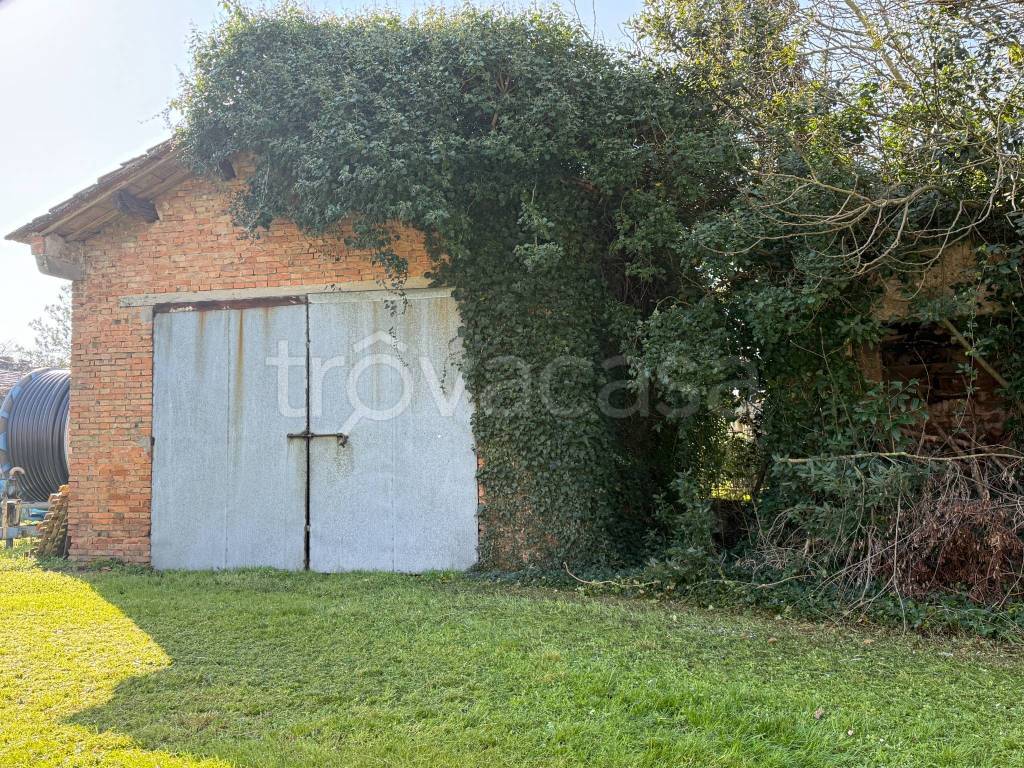 immagine annuncio 4 di 7