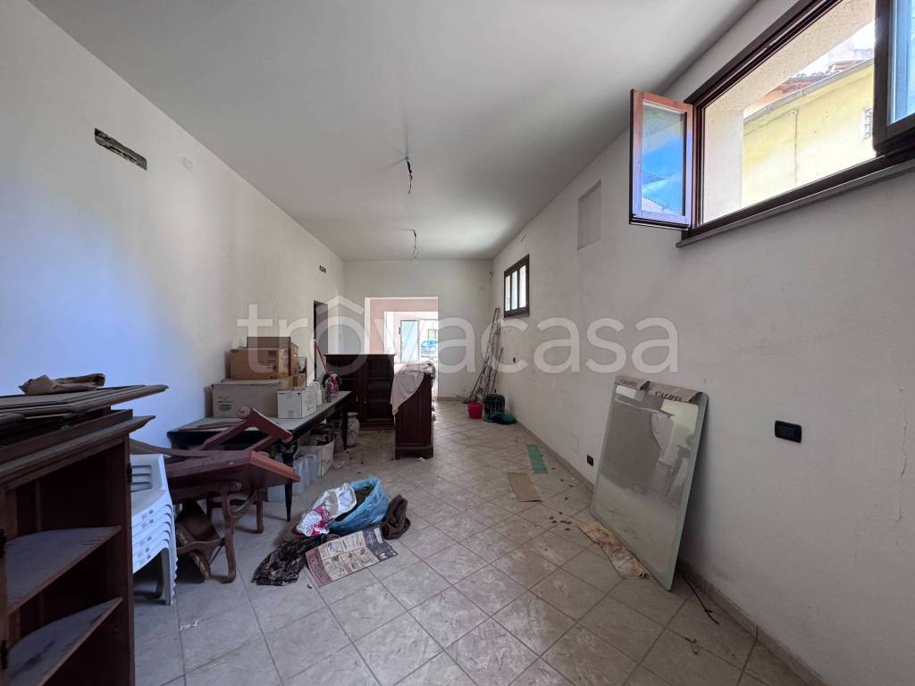 immagine annuncio 6 di 14