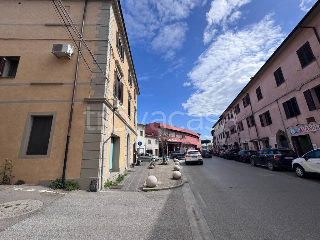 immagine annuncio 3 di 14