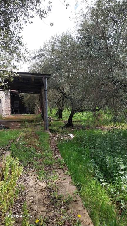 immagine annuncio 2 di 8