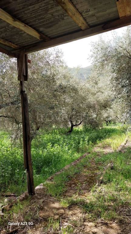 immagine annuncio 6 di 8