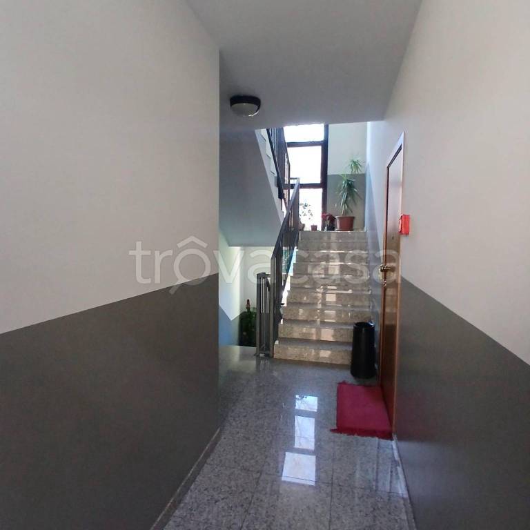 immagine annuncio 2 di 9