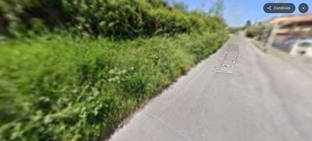 immagine annuncio 6 di 14