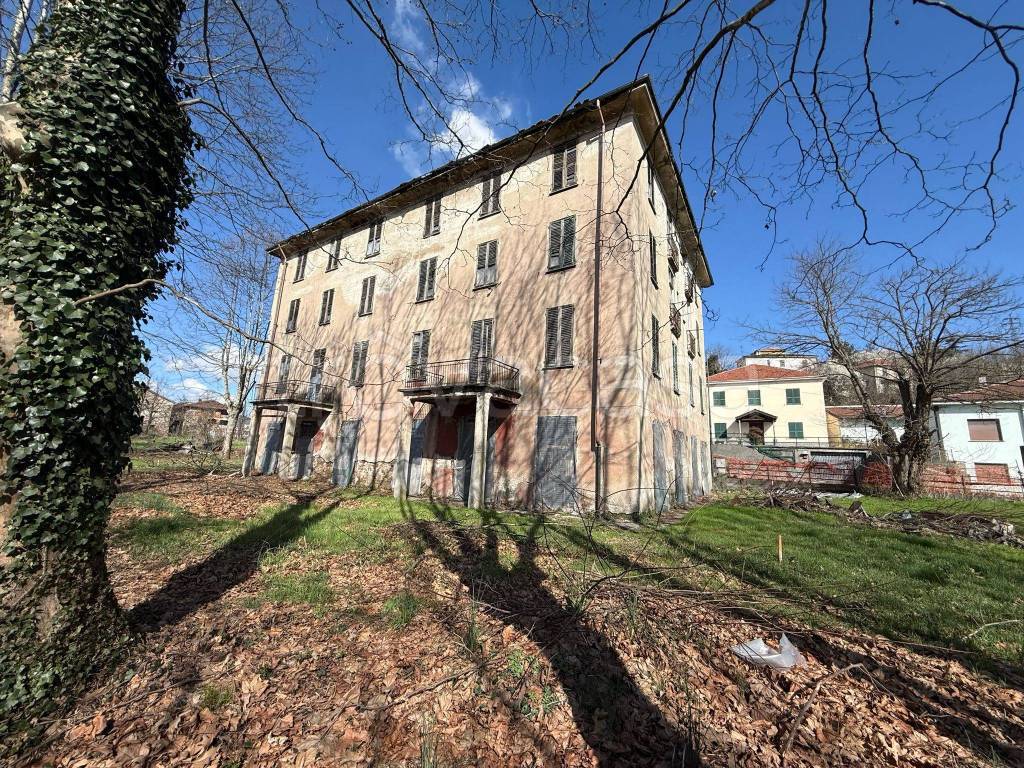 immagine annuncio 3 di 15