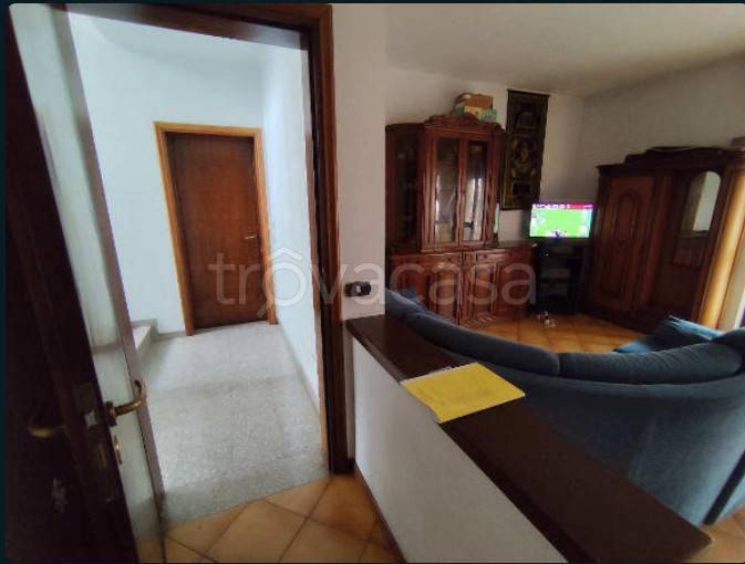 immagine annuncio 2 di 14