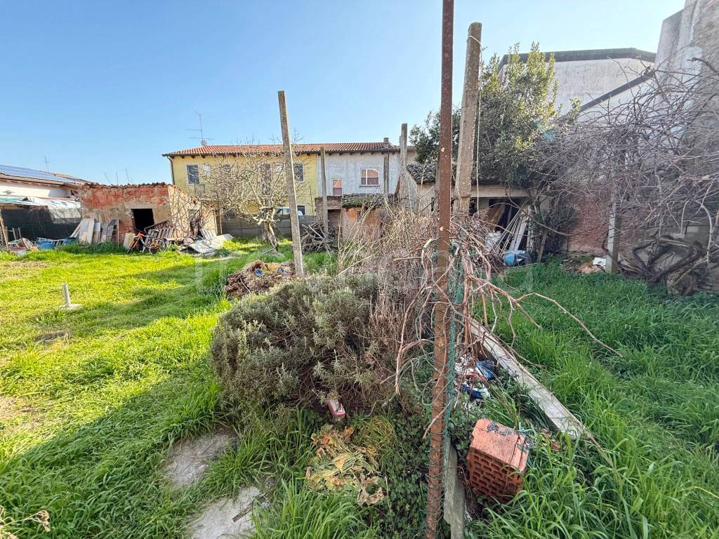 immagine annuncio 3 di 14
